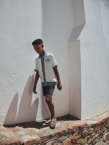 Next Regular Fit Hemd in Weiß