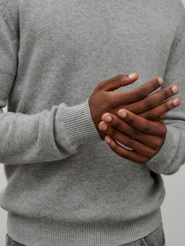 DAN FOX APPAREL - Jersey 'Essential' en gris