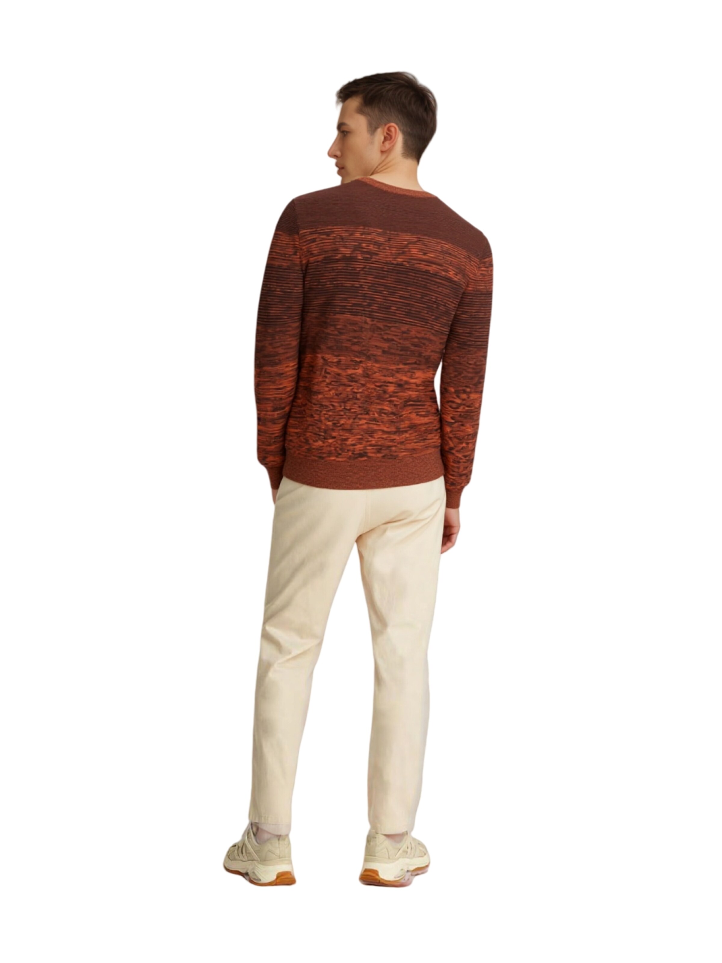 HAJO Sweater in Brown