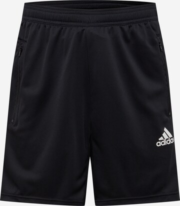 ADIDAS SPORTSWEAR Regular Sporthose 'Primeblue Designed To Move 3-Stripes' in Schwarz: predná strana