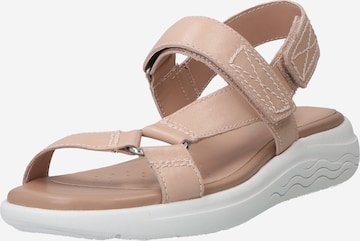 GEOX Sandals 'Spherica' in Beige: front