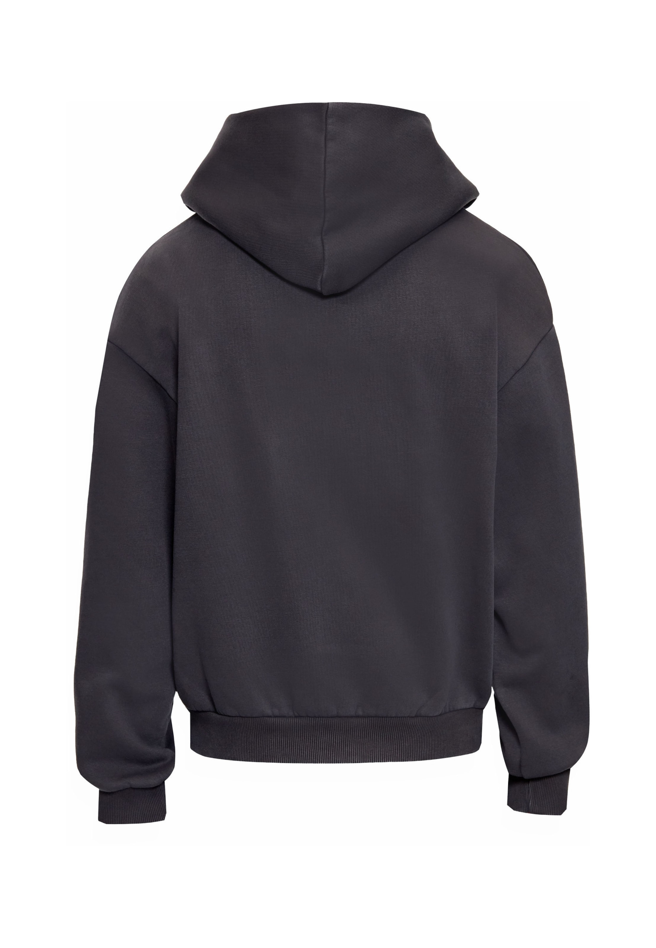 Giacca di felpa di Dropsize in grigio