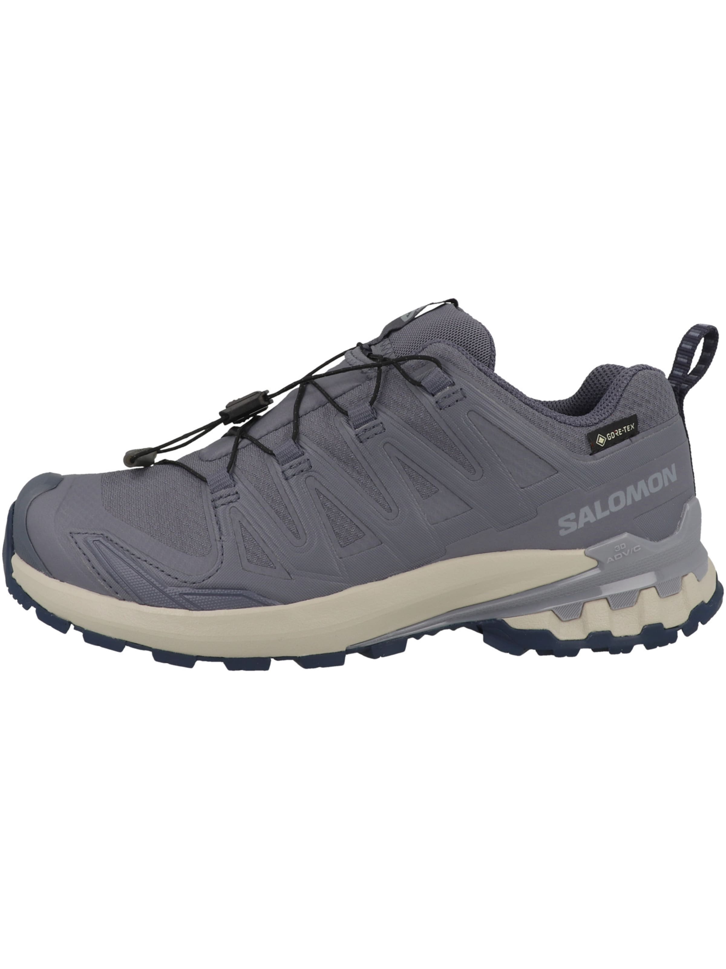 Chaussure de course 'XA Pro 3D V9' SALOMON en bleu
