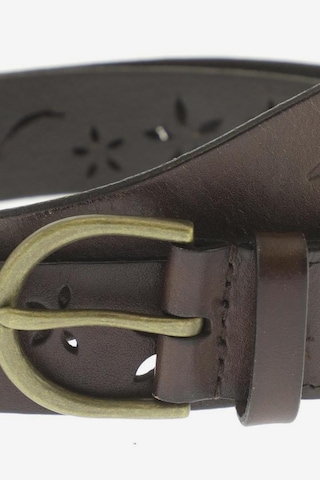 HOLLISTER Belt in One size in Brown