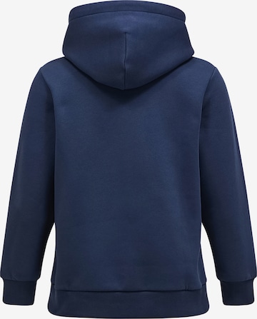 PEAK PERFORMANCE Kapuzensweatshirt in Blau