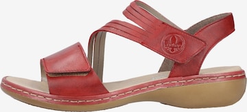 Sandalo di Rieker in rosso: frontale