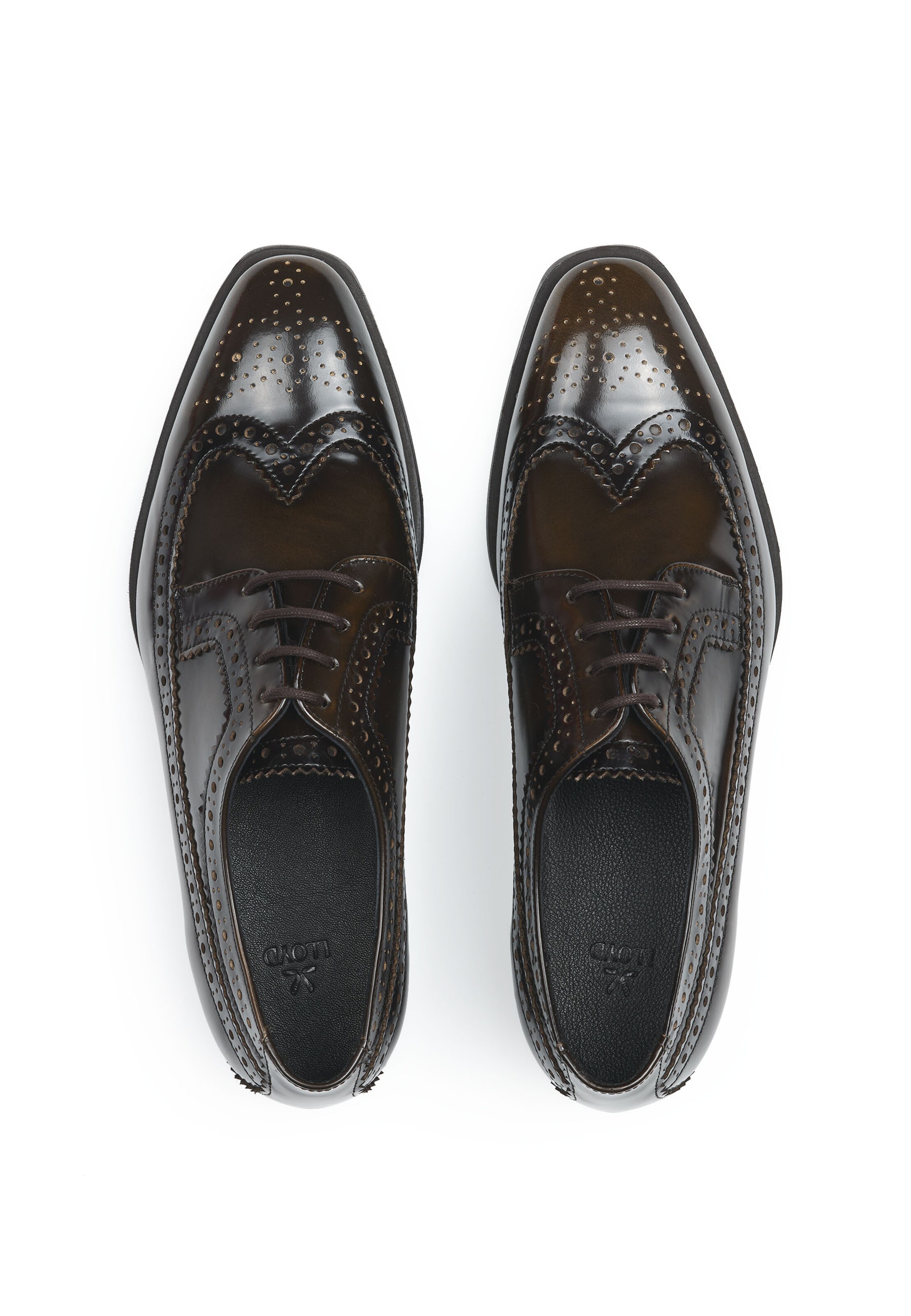 LLOYD Lace-Up Shoes 'Sky 140' in Brown