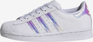 ADIDAS ORIGINALS Sneakers 'Superstar' in Wit: voorkant