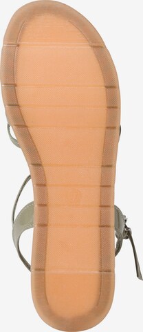 MARCO TOZZI Strap Sandals in Green