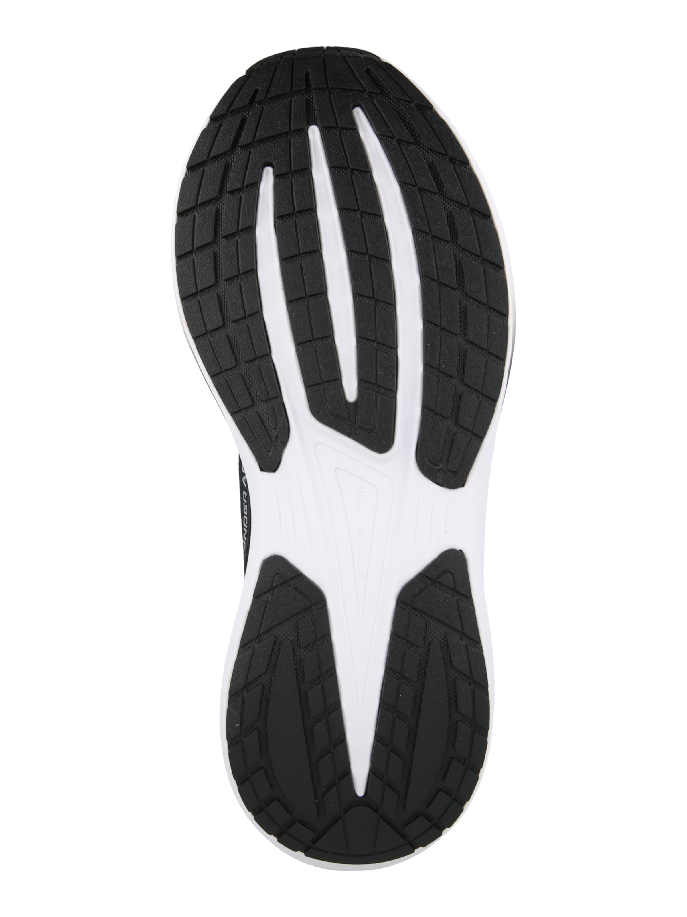 UNDER ARMOUR Running Shoes 'Velociti Pace' in Black