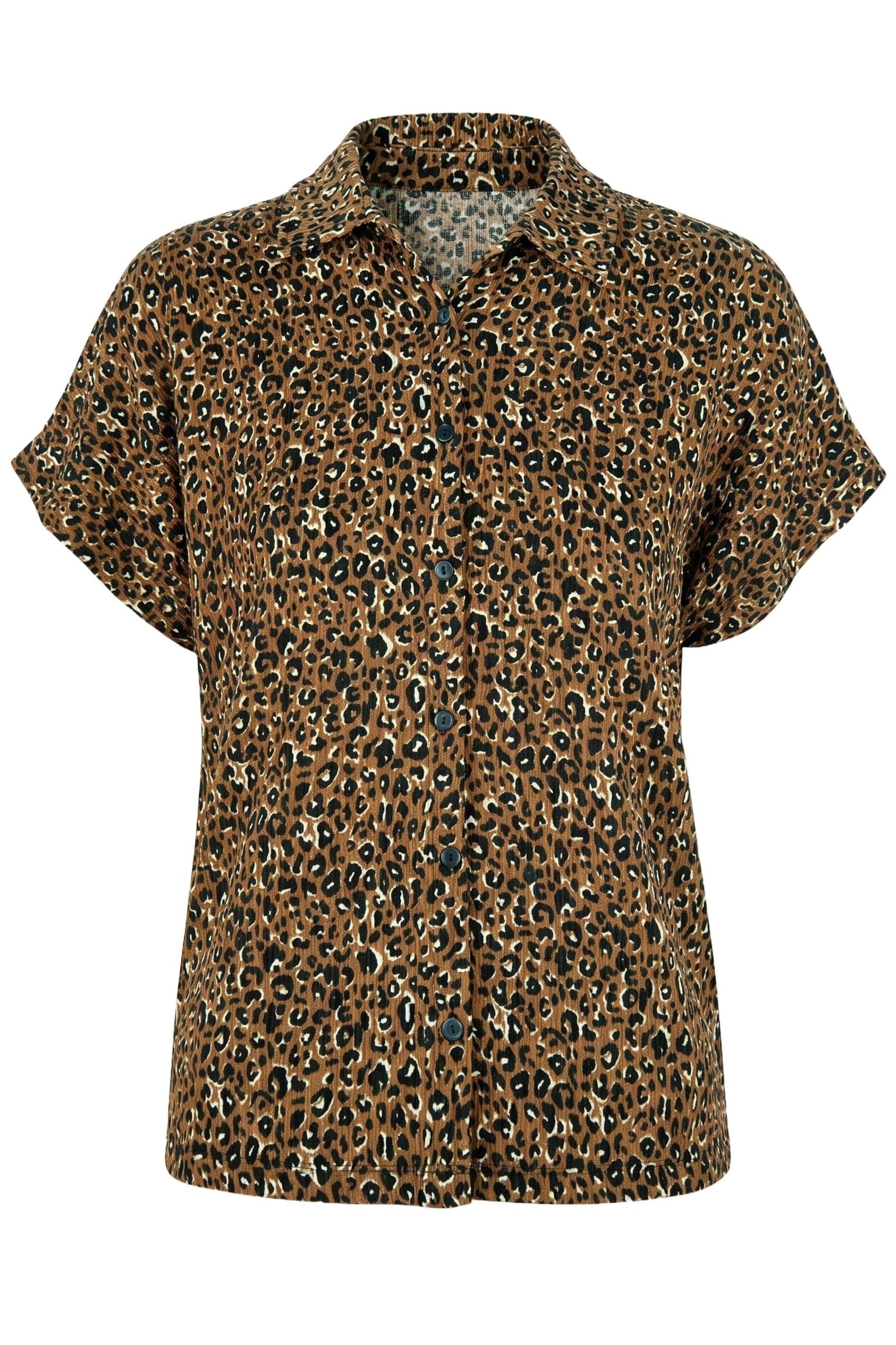 Alexa Dash Blouse in Brown: front