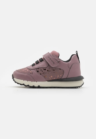 GEOX Sneaker 'FASTICS' in Pink: Vorderseite