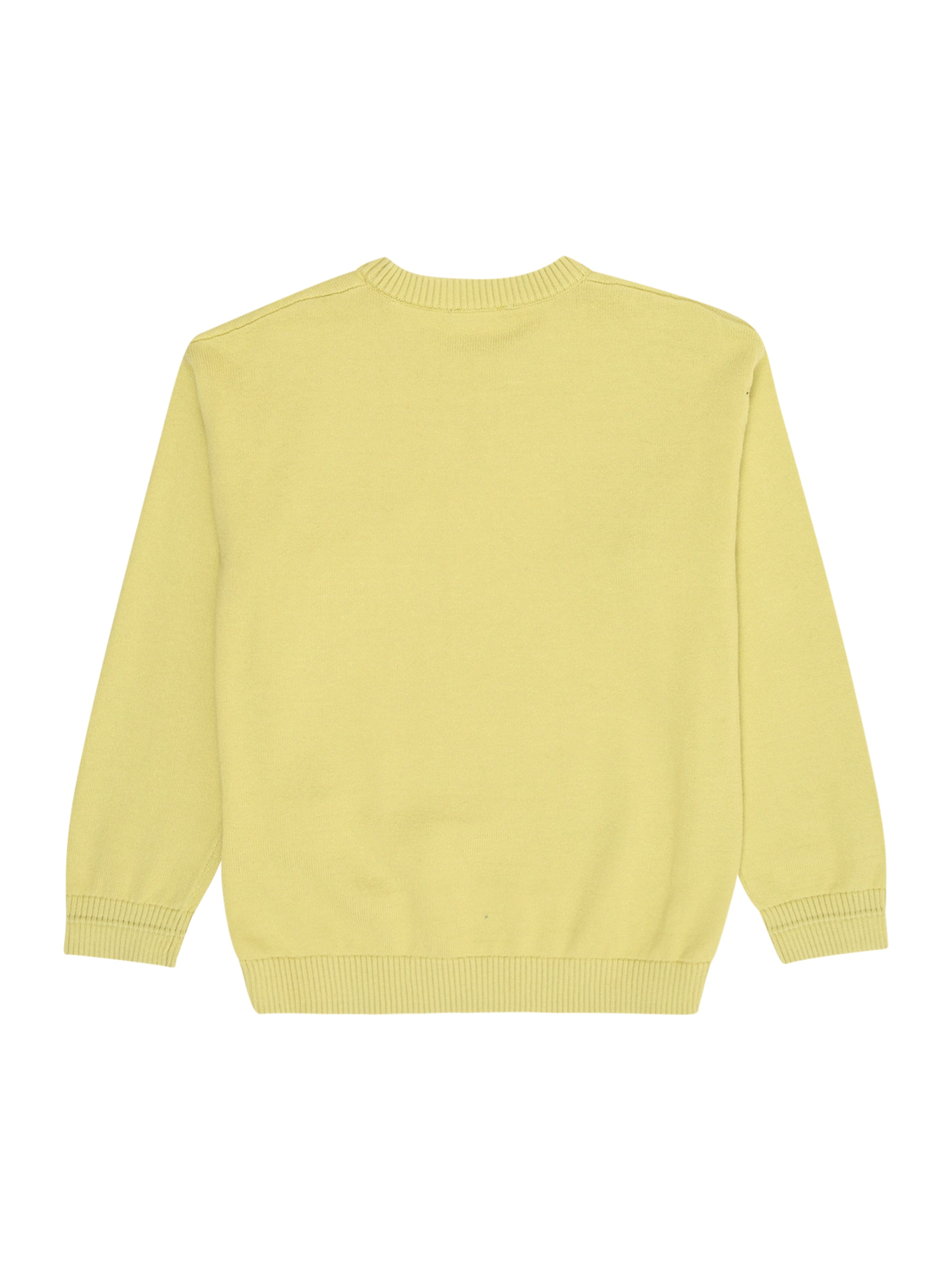 žalia UNITED COLORS OF BENETTON Megztinis