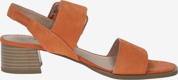 CAPRICE Sandals in Orange