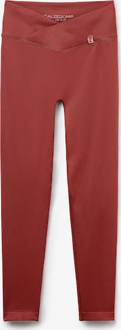CALZEDONIA Leggings in Braun: Vorderseite