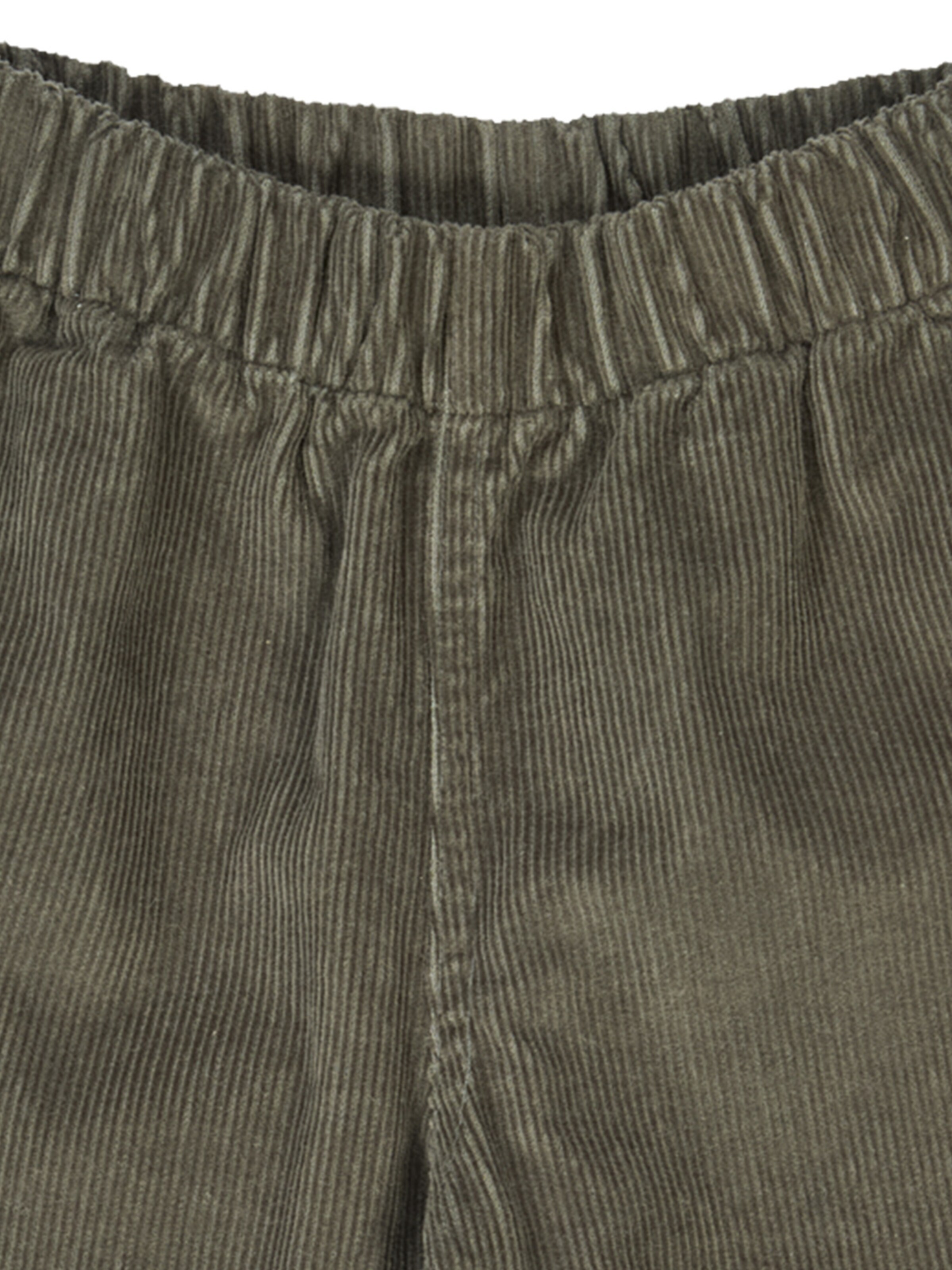 Müsli by GREEN COTTON Regular Shorts in Grün