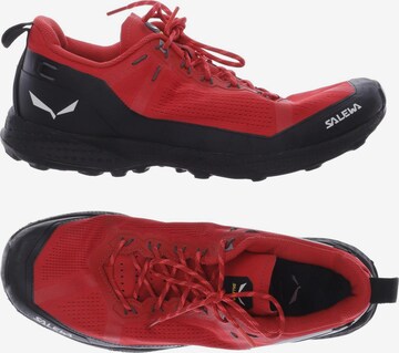 SALEWA Sneakers & Trainers in 42,5 in Red: front