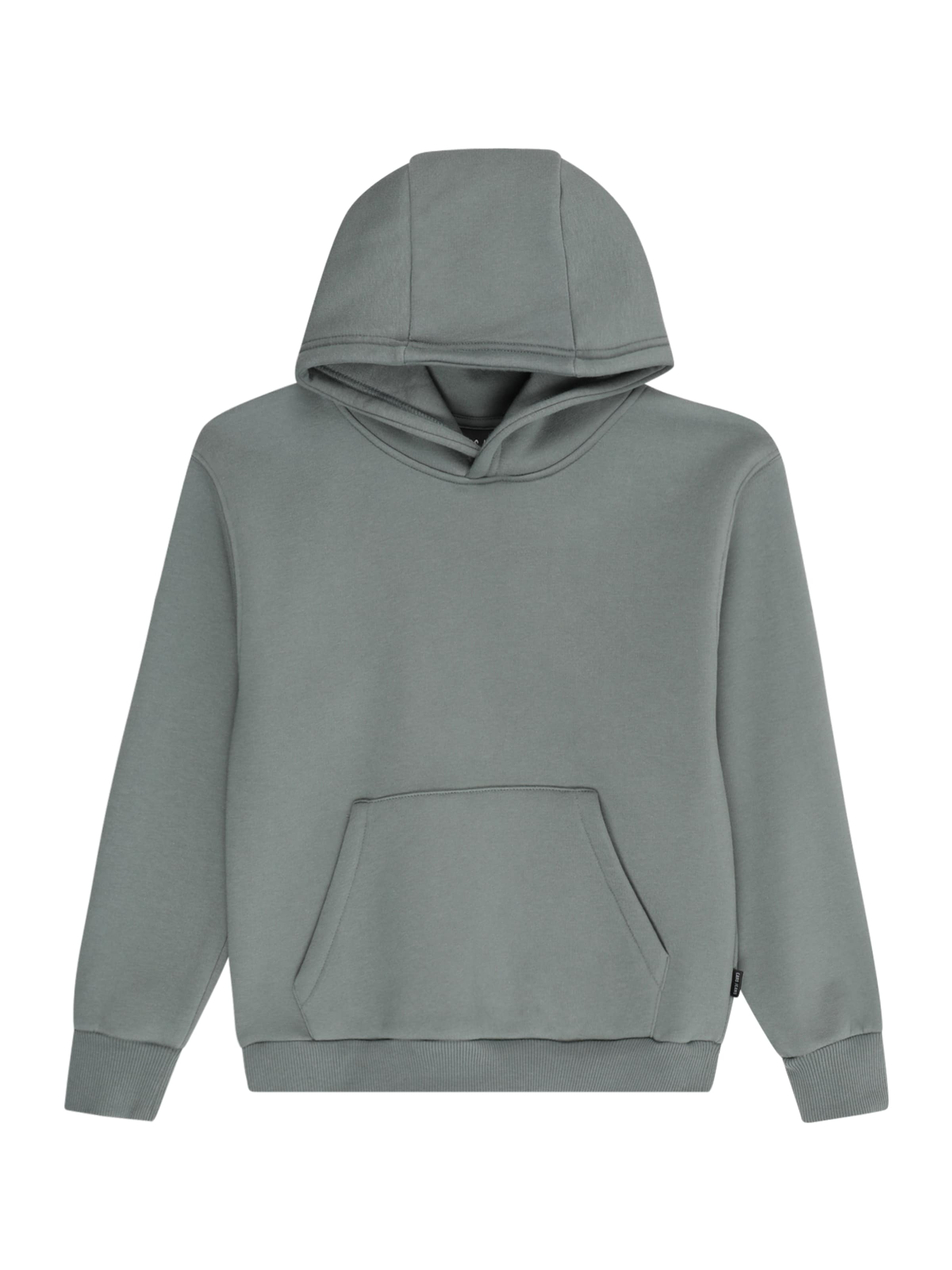 Cars Jeans Sweatshirt 'FERGAL' in Groen: voorkant