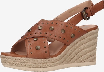 GEOX Sandals in Brown: front