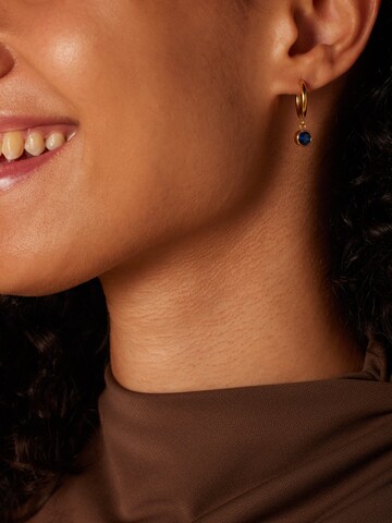 Boucles d'oreilles Lucardi en or