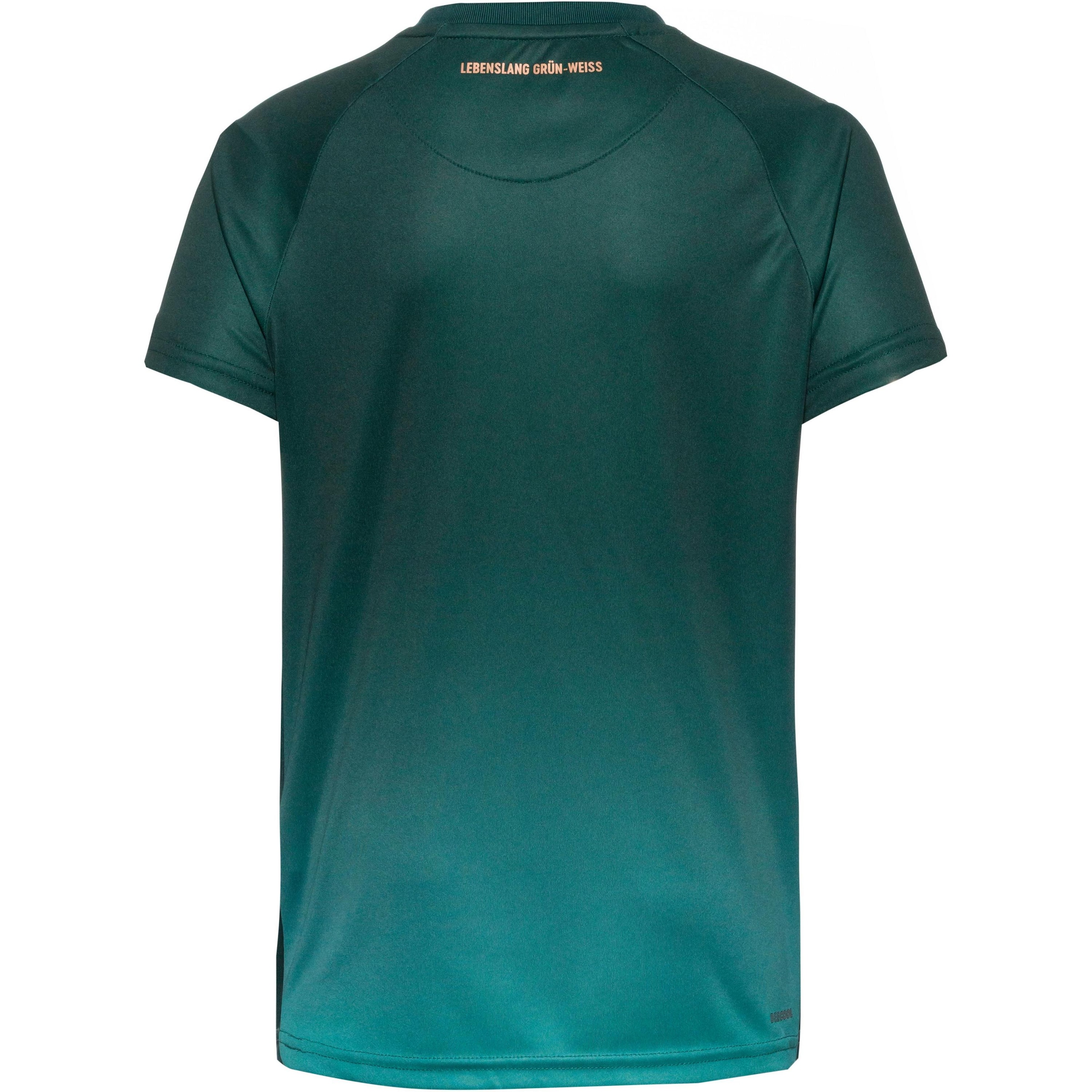 Hummel Funktionsskjorte 'SV Werder Bremen 2025/2026' i grøn