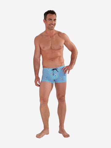 HOM Badeshorts ' Swim Shorts Viareggio ' in Blau