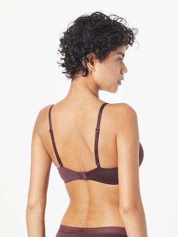 Calvin Klein Underwear Push-up Bra 'DEMI' in Purple