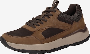 SIOUX Sneakers laag ' Rogerlino-700-H ' in Bruin: voorkant