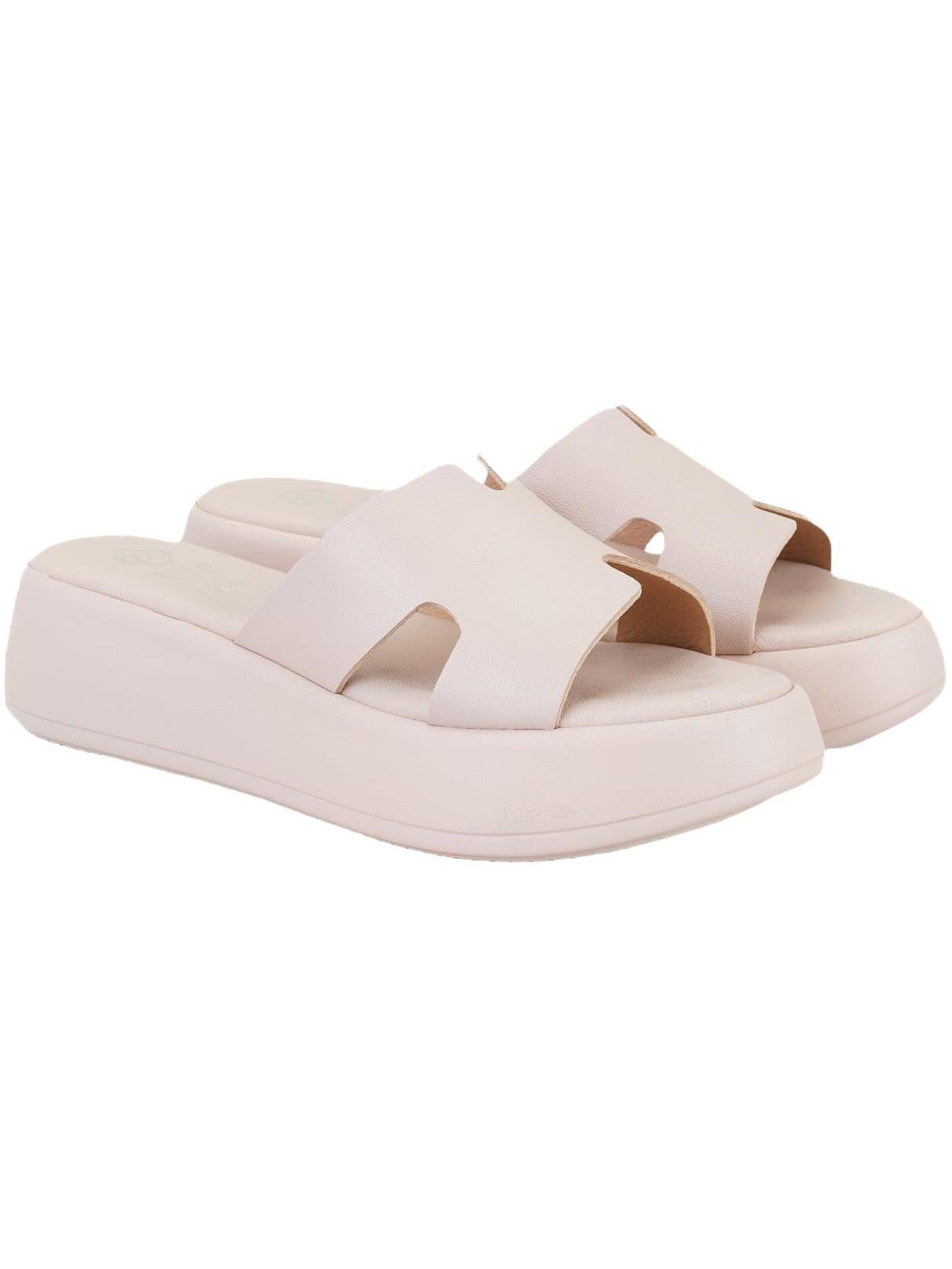 Desa Mules in Pink