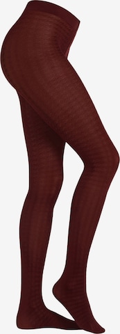 camano Fine Tights '60 DEN' in Red: front
