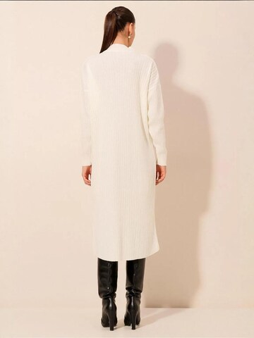 Bigdart Gebreide jurk in Wit