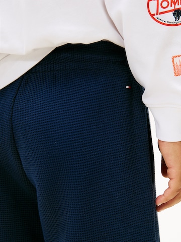 TOMMY HILFIGER Regular Pants in Blue