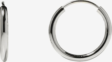 Stilnest Earrings in Silver: front