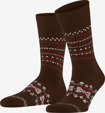 FALKE Socks 'Sky Limit' in Brown: front