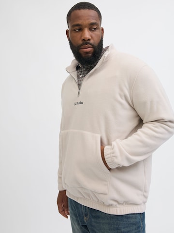 Jack & Jones Plus Pullover i beige