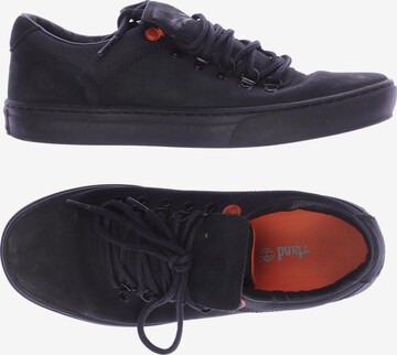TIMBERLAND Flats & Loafers in 41 in Black: front