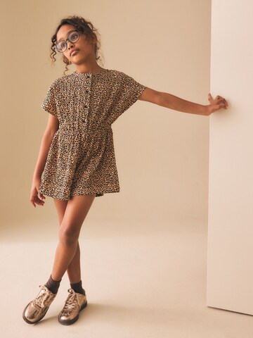 Next Overall in Braun