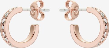 Boucles d'oreilles 'SEENITA' Ted Baker en or