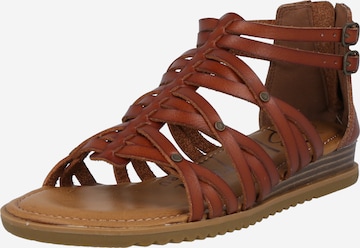 Blowfish Malibu Strap sandal 'BLOOMY' in Brown: front