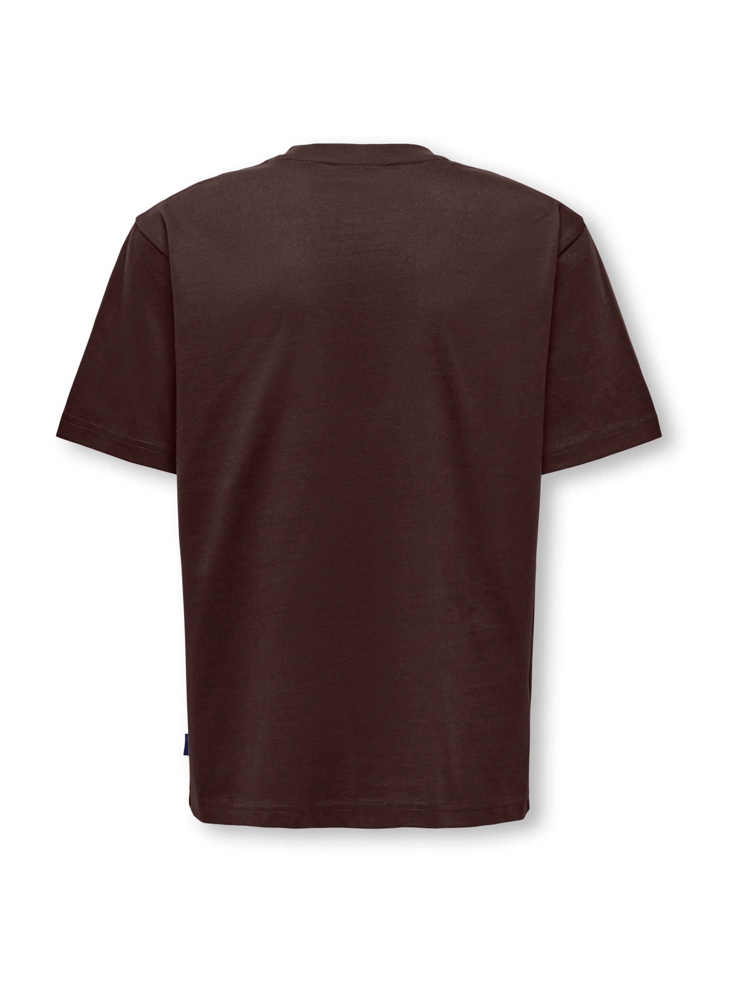 Only & Sons Junior Футболка 'OSJFRED' в Коричневый