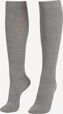 CALZEDONIA Knee High Socks in Grey: front