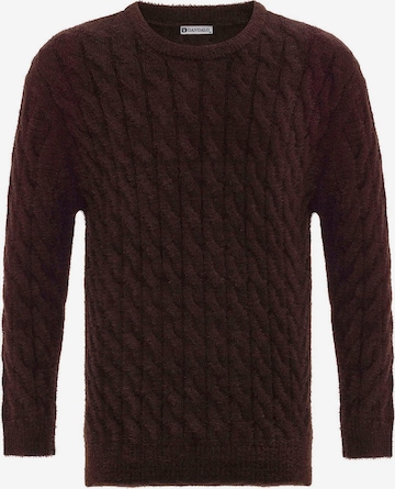 Pullover di Dandalo in marrone: frontale