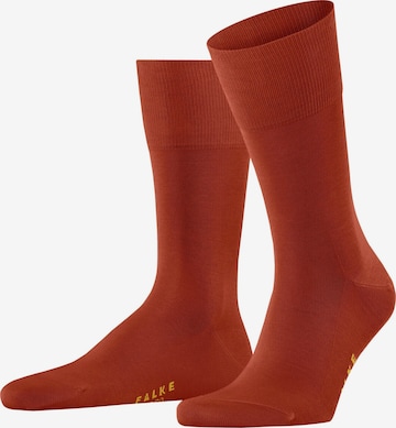 FALKE Socken 'Tiago' in Grau: Vorderseite