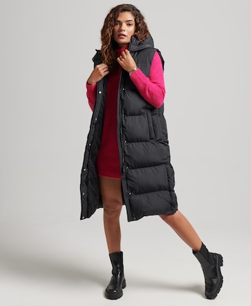 Superdry Bodywarmer in Zwart