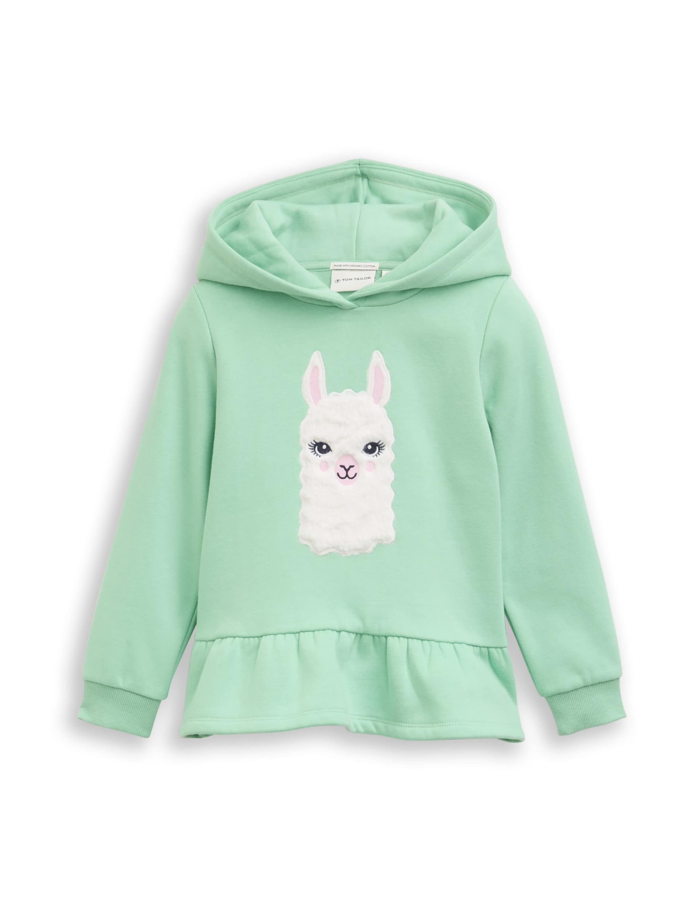 TOM TAILOR Sweatshirt in Green: front