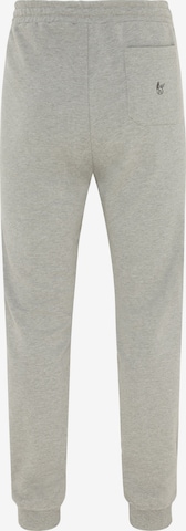 Effilé Pantalon HAJO en gris