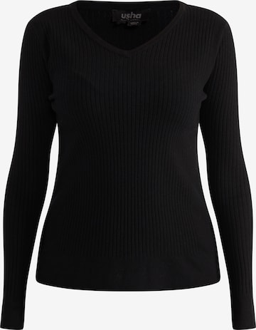 Pull-over 'Nowles' usha BLACK LABEL en noir : devant