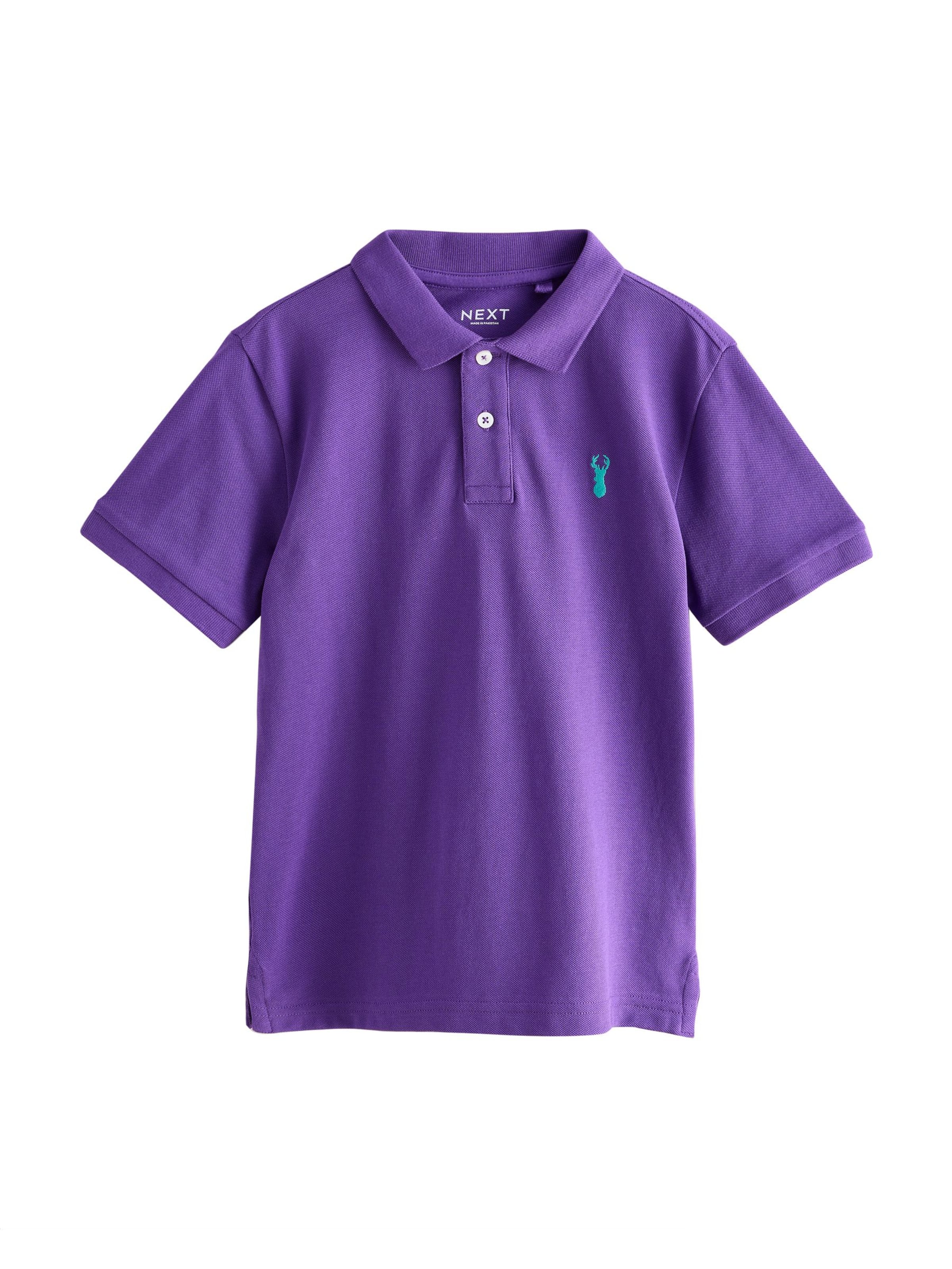 Next Poloshirt in Lila: Vorderseite