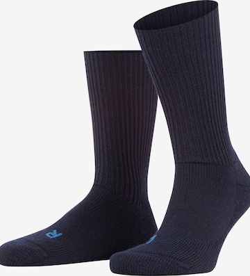 FALKE Socks 'Walkie Ergo' in Blue: front
