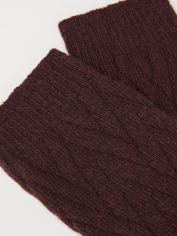 CALZEDONIA Socken in Braun